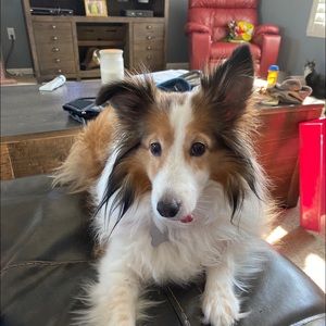 Meet your Posher, Kathy